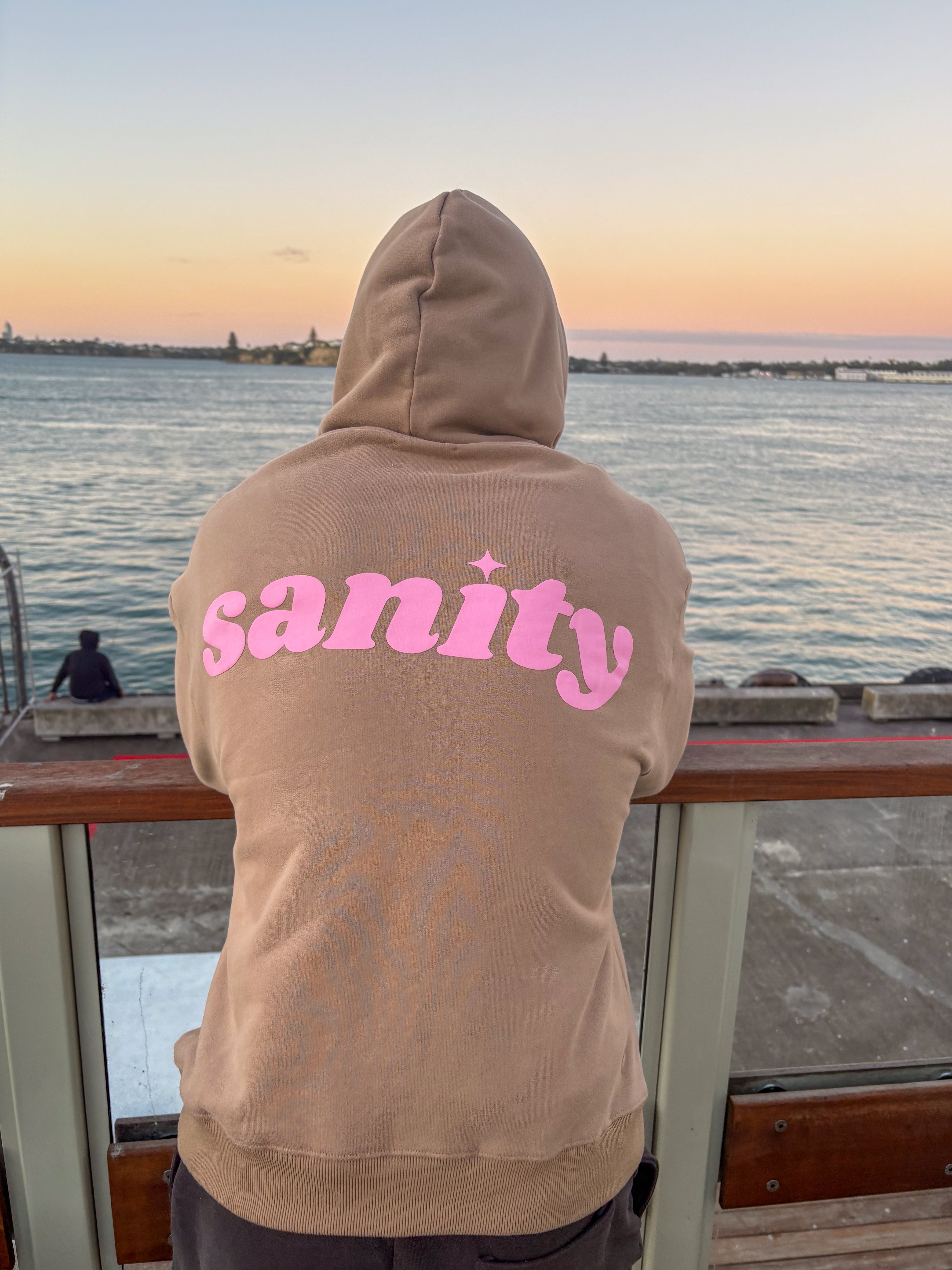 Sanity - Chocolate Hoodie