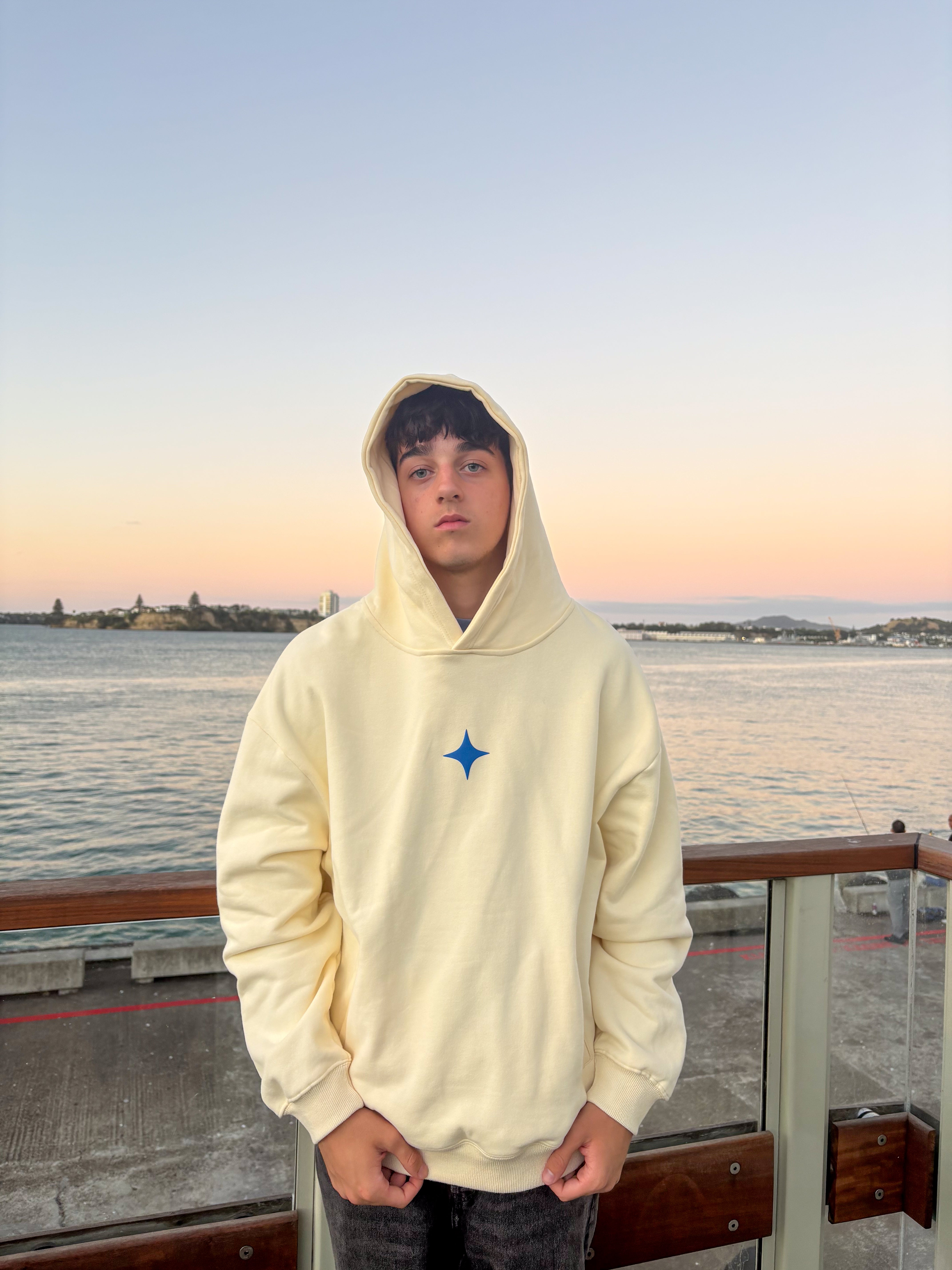 Sanity - Fragment Hoodie