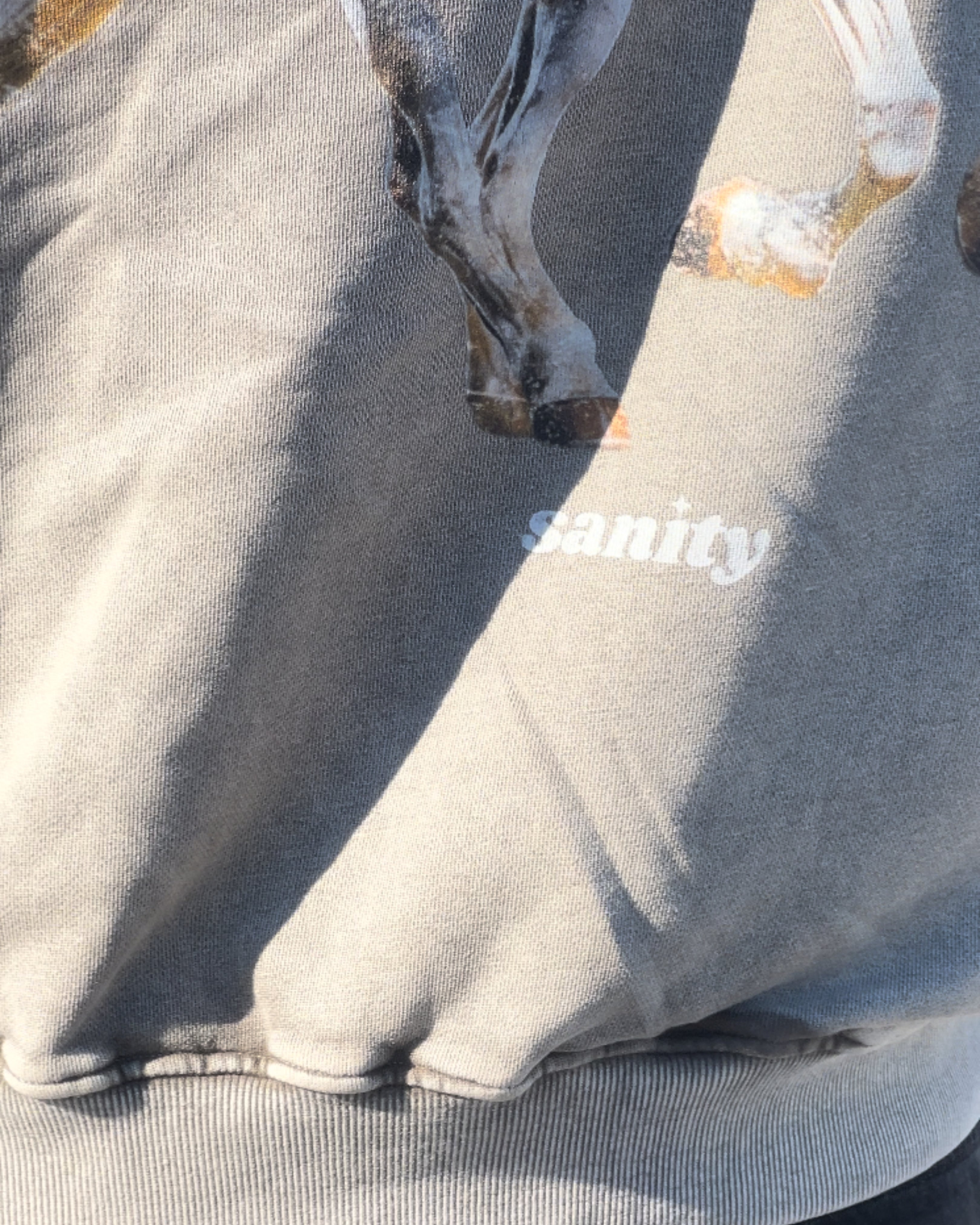 Sanity - White Stallion Washed Grey Hoodie